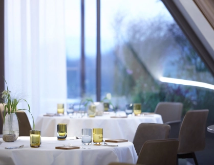 gourmet restaurant - new construction - Restaurant Johanns Waldkirchen - dining table - situation -  setup - scene